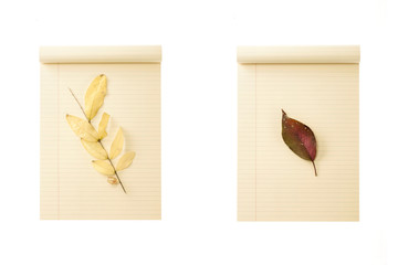 set of yellow paper note book with fall leaf isolated on the white background.