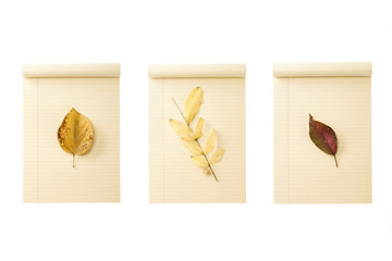 set of yellow paper note with leaf isolated on the white background.