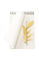 white ring binding note with leaf, pencil isolated on the white background.