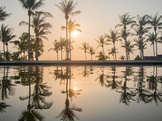 Swimming pool reflecting the sun and palm trees\