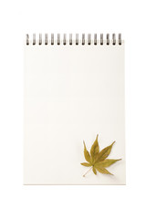 white paper ring note with leaf isolated on the white background.
