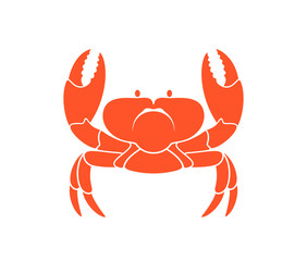 Red crab. Isolated crab on white background