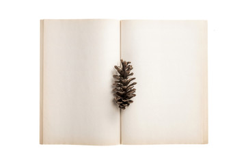 empty(blank) note spread with leaf isolated on the white background.