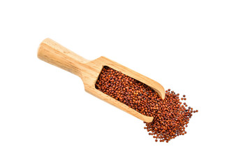 Red Quinoa seeds on white background