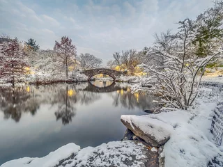 Photo sur Plexiglas Pont de Gapstow Gapstow bridge Central Park, New York City