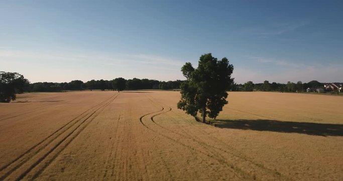 Michigan Wheat Fields 03