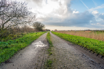 Fototapeta na wymiar Sandy path with a puddle in a rural landscape