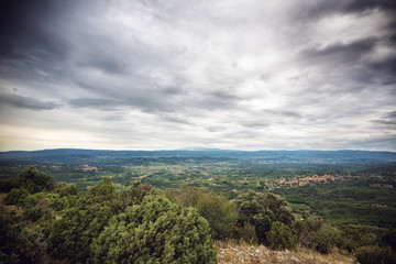 Fototapeta premium sad provence 
