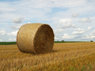 Strohballen
