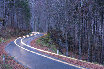 Car trails on the beautiful road through the forest in Slovenia