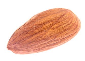 almond on white