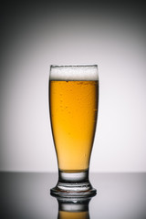 glass with light beer with foam on gray reflecting surface
