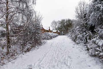 Snowy path through the park with buildings in the background