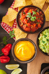 mexican nachos tortilla chips with guacamole, salsa and cheese dip