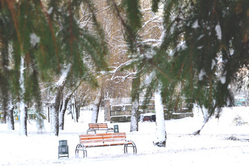 The bench in winter park. Park road. The beauty of winter nature.