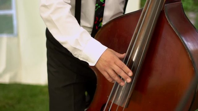 Musician playing double bass.