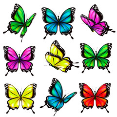 beautiful color butterflies,set, isolated  on a white