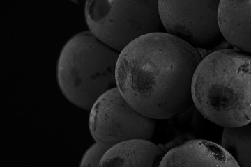 Close up, ripe darck grape berry isolated on black background