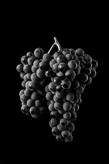 Reference, double bunch of grapes isolated on black background