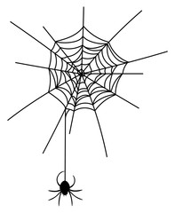 Vector illustration of a spider on a cobweb. Black silhouette of a spider coming down from a web. Drawing for Halloween. Poisonous insect.