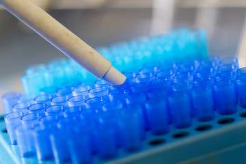 Fototapeta premium Backgrounds of tip for pipette in Lab.