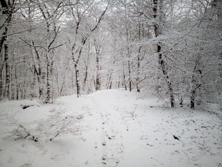 Unknown snowy paths