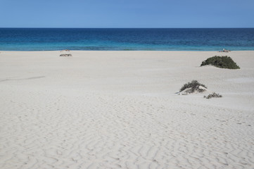 Grandes Playas Corralejo, Fuerteventura