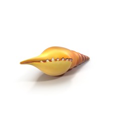 Seashell isolated on white. 3D illustration