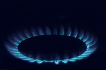 Gas burning in the burner over black background.