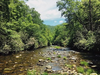 North Carolina Creek © Stefan