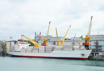Port cargo crane, ship and container