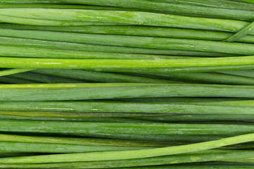 Close view of organic chives - obrazy, fototapety, plakaty