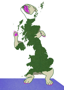 British bulldog - drawing with map