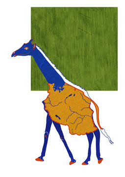 Tanzanian Giraffe - drawing of animal with map