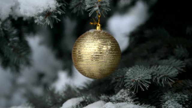 Christmas Background golden ball on Christmas tree branches 