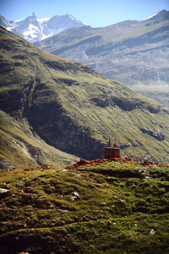 majestic landscape with green valley in indian himalayas, keylong region