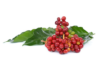 fresh coffee beans with leaf isolated on white background