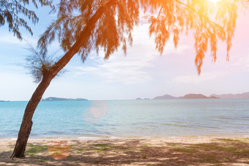 Tropical beach with tree and sunlight. Holiday and Relax concept. Lifestyle and Long weekend concept. Nature and Seascape theme.