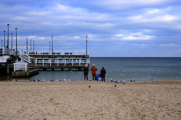 Plaża piaszczysta, morze, molo, grupa ludzi karmiąca mewy i rybitwy, zimowy dzień, błękitne niebo z ładnymi białymi obłokami - obrazy, fototapety, plakaty
