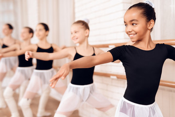 Young ballerinas rehearsing in the ballet class. - obrazy, fototapety, plakaty