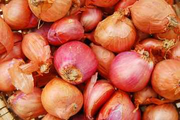 Small red onion it's vegetables in Asian