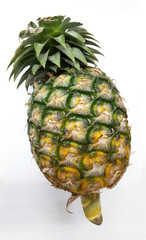 Pineapple a tropical.