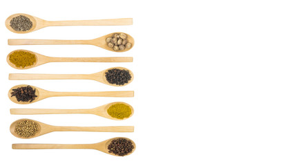 The variety of indian spices in wooden spoon