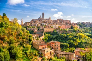 Washable wall murals European Places Downtown Siena skyline in Italy