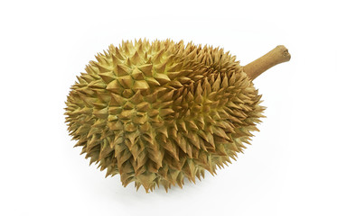 Durian an Asian fruit