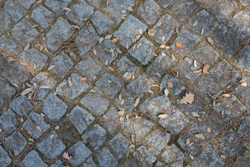 Pavement of rocks