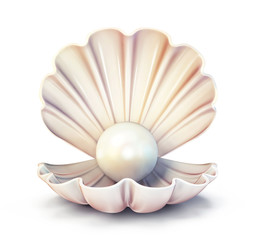 pearl shell - 184439099