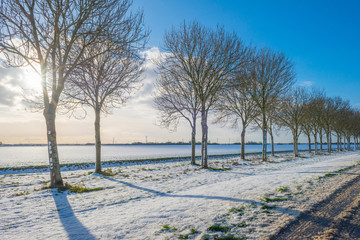 Snowy road through a frozen landscape along trees in winter