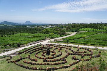 Maze park of green tea theme park