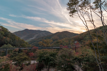 Beautiful colored leaves in Gonjiam Hwadam Forest